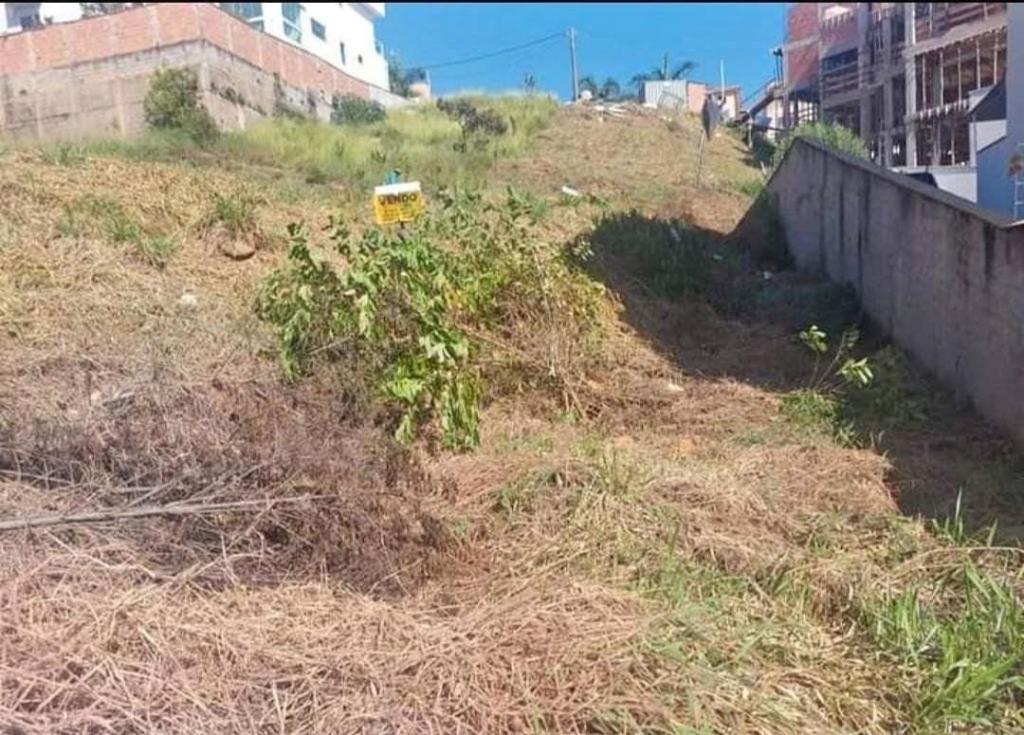 VENDO EXCELENTE TERRENO NO BAIRRO SANTA MARIA [420]