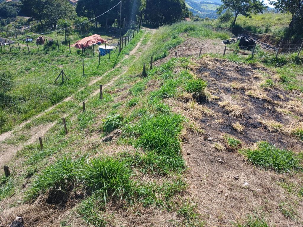 VENDO EXCELENTE CHACARA EM CALDAS/MG [531]