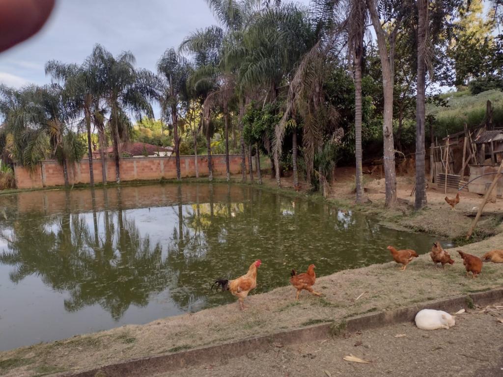 VENDO EXCELENTE SITIO PROXIMO A PALMEIRAL [556]