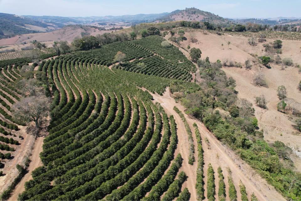 VENDO EXCELENTE SITIO ENTRE BANDEIRA DO SUL E CAMPESTRE[565]