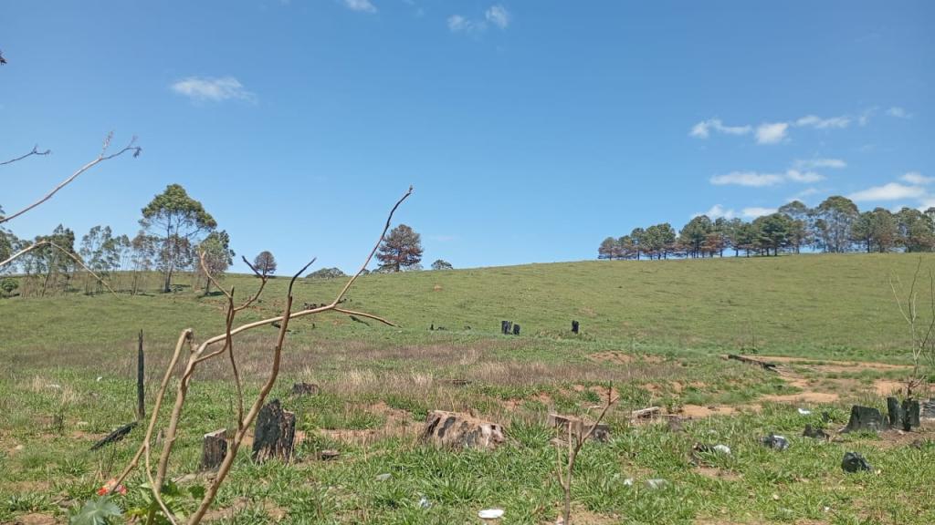 VENDO EXCELENTE SÍTIO EM POÇOS DE CALDAS [573]